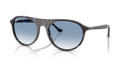 Gafas de sol Ray Ban RB2215 14303F