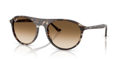 Gafas de sol Ray Ban RB2215 143151