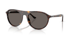Gafas de sol Ray Ban RB2215 902/B1