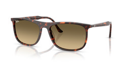 Gafas de sol Ray Ban RB2216 14290A