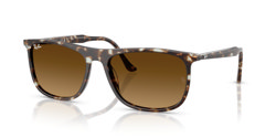 Gafas de sol Ray Ban  RB2216 143185