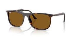 Gafas de sol Ray Ban RB2216 902/33