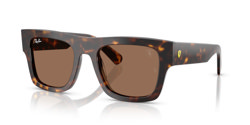 Gafas de sol Ray Ban  RB2217M F61373