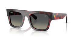 Gafas de sol Ray Ban RB2217M F70511