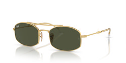 Gafas de sol Ray Ban  RB3719 001/31