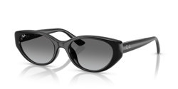 Gafas de sol Ray Ban  RB4457D 667711
