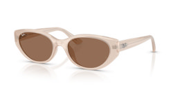 Gafas de sol Ray Ban  RB4457D 678673