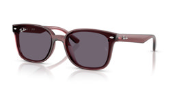 Gafas de sol Ray Ban  RB4461D 659373