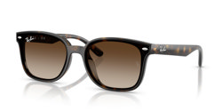 Gafas de sol Ray Ban  RB4461D 710/13