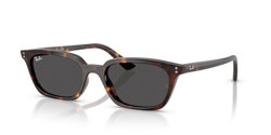 Gafas de sol Ray Ban Zaya RB4456 135987