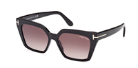 Gafas de sol Tom Ford FT1030 01Z 53