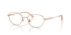 Gafas de vista Jimmy Choo JC2009D 3008