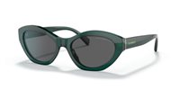 Gafas Emporio Armani  EA4172 512787