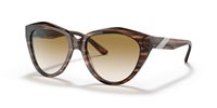 Gafas Emporio Armani  EA4178 516913