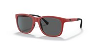 Gafas Emporio Armani  EA4184 562487