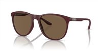 Gafas Emporio Armani  EA4210 526173