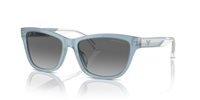 Gafas Emporio Armani  EA4227U 609611
