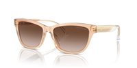 Gafas Emporio Armani  EA4227U 609813