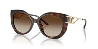 Gafas Michael Kors alicante MK2236U 300613
