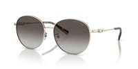 Gafas Michael Kors alpine MK1119 10148G