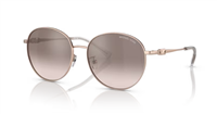 Gafas Michael Kors alpine MK1119 11088Z