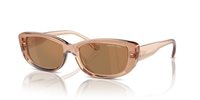 Gafas de sol Michael Kors Asheville MK2210U 3999/O