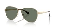 Gafas Michael Kors biarritz MK1160 10143H