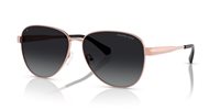 Gafas de sol Michael Kors Biarritz MK1160 1108T3