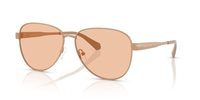 Gafas Michael Kors biarritz MK1160 190073