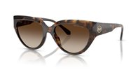 Gafas de sol Michael Kors Boca raton MK2241U 300613