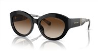 Gafas Michael Kors brussels MK2204U 300513