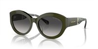 Gafas Michael Kors brussels MK2204U 39478G