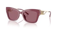 Gafas de sol Michael Kors Cantabria MK2237U 32561A
