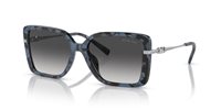 Gafas Michael Kors castellina MK2174U 33338G