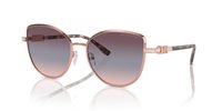 Gafas Michael Kors catalonia MK1144B 11080J