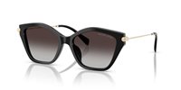 Gafas de sol Michael Kors Catskills MK2246U 30058G