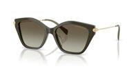 Gafas de sol Michael Kors Catskills MK2246U 40193M