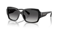 Gafas de sol Michael Kors Châtel MK2233B 30058G