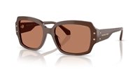 Gafas de sol Michael Kors Châtel MK2233B 4008/3