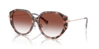 Gafas Michael Kors jinan MK2248D 4017V0