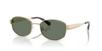 Gafas Michael Kors monte carlo MK1161 10143H