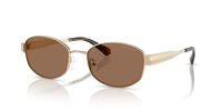 Gafas Michael Kors monte carlo MK1161 101473
