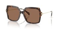 Gafas Michael Kors quogue MK2247U 395173