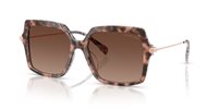 Gafas Michael Kors quogue MK2247U 4017T5