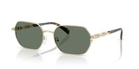 Gafas Michael Kors saint martin MK1165 10143H