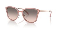 Gafas Michael Kors turin MK1115 11083B