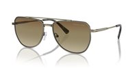 Gafas de sol Michael Kors Whistler MK1155 1897GL