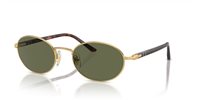 Gafas Persol ida PO1018S 515/58