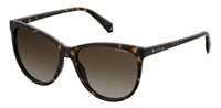 Gafas POLAROID PLD 4066/S 086