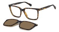 Gafas POLAROID PLD D556/C 086